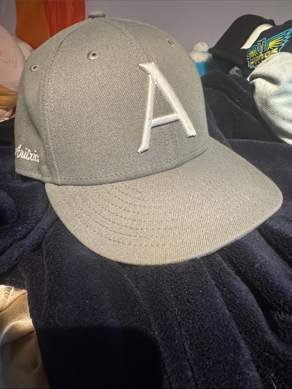 Aritzia brand new grey fitted hat